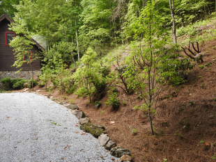 Rock border along parking area and landscaped hill